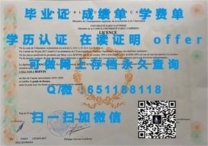 意大利罗马第二大学官方毕业证书揭秘