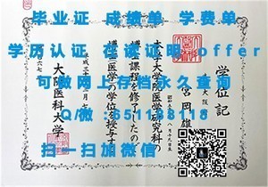 探索哥本哈根工程学院，成就与荣耀的见证——成绩单揭秘