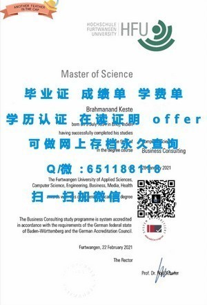 斯图加特大学官方成绩单解析