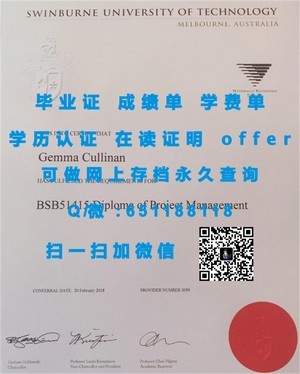 斯文本科技大学文凭认证之旅
