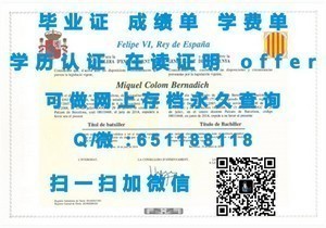 斯旺西大学成绩单解析与解读