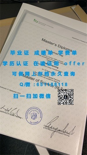 新泻大学学历证书揭秘