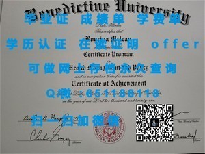 日本法政大学文凭，学术品质与国际化视野的象征