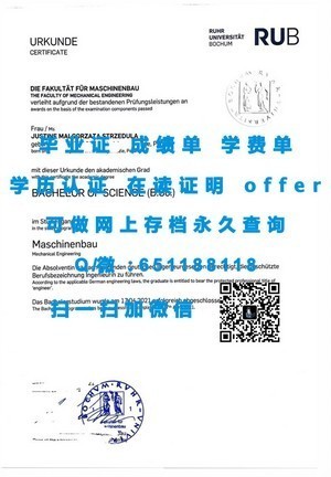 早稻田大学官方成绩单揭秘