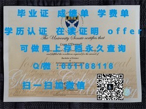 明斯特大学文凭，德国高等教育认证的象征