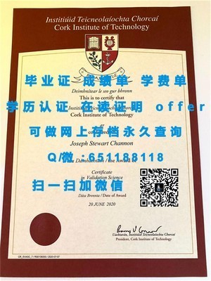 智利大学成绩单解析
