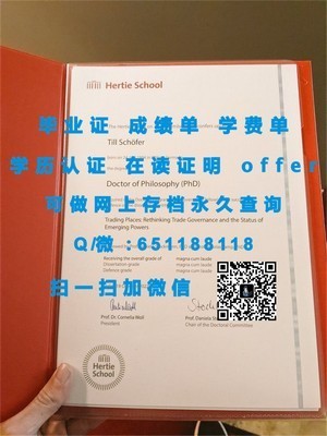 梨花女子大学官方成绩单揭秘