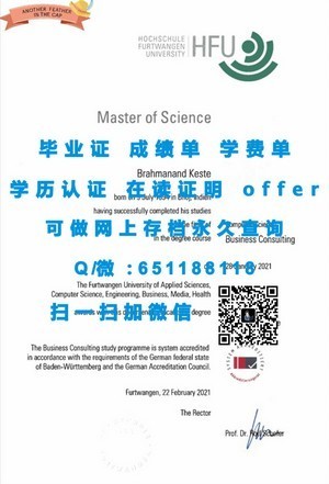 沙顿商学院国际认可文凭，开启全球职业新篇章