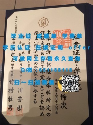 爱尔兰都柏林理工学院文凭，国际认可与职业发展优势