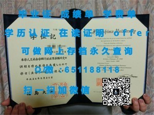 神奈川大学学位证书揭秘