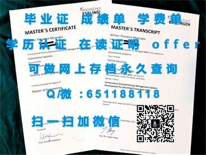 神奈川大学官方成绩单解读