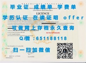 福冈大学学生成绩单详览