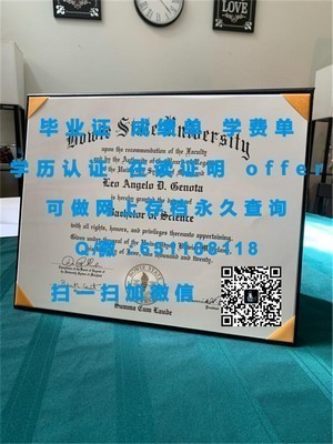 纽约州立大学布法罗分校学位证书揭秘