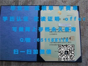 芝加哥大学官方成绩单解析