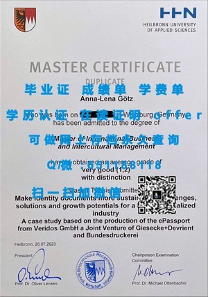 荷兰代尔夫特理工大学官方成绩单解析