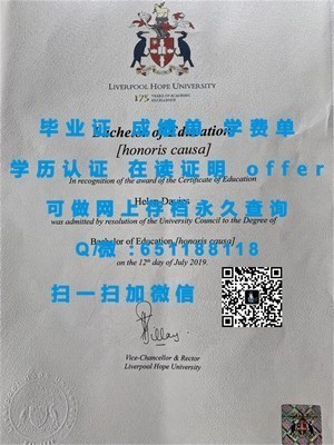 荷兰海牙大学国际认证文凭揭秘