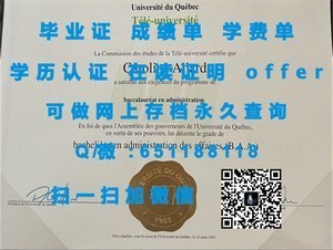 荷兰海牙大学官方成绩单揭秘