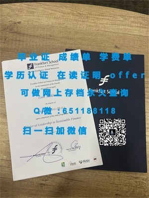 荷兰海牙大学官方文凭认证揭秘