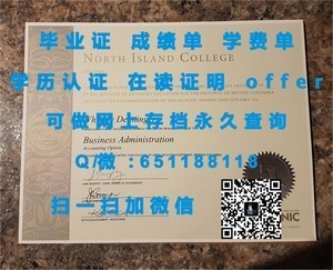 荷兰阿姆斯特丹大学成绩单揭秘