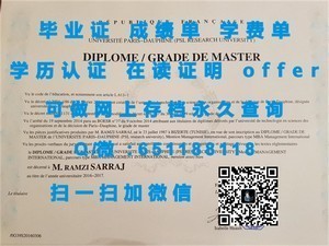 西三一大学官方成绩单揭秘