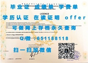 迪由维尔学院学位证书揭秘