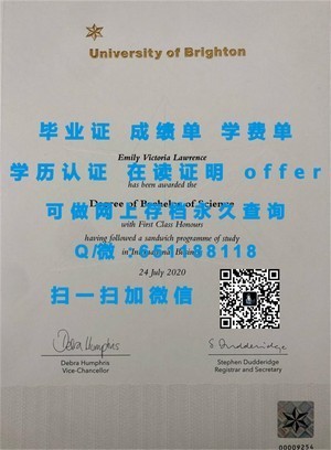 迪由维尔学院毕业证书揭秘