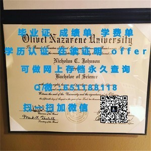 里丁大学学位证书揭秘