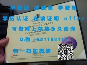 里贾纳大学学位证书解析