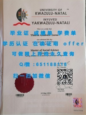 釜山大学官方学位证书揭秘