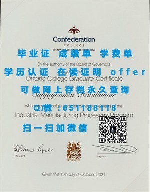 长崎大学文凭，国际认可的学术成就凭证