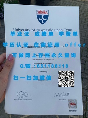 阳光海岸大学官方成绩单揭秘