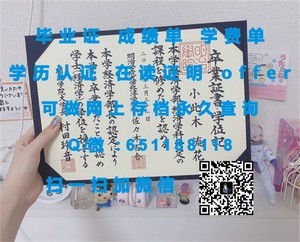 阿姆斯特丹大学官方成绩单解读