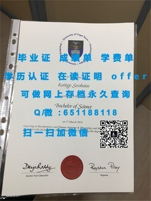 阿拉巴马大学成绩单解析