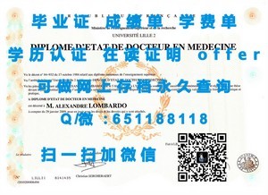 高知精英学业成就展示，大学成绩单解析