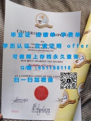 麻省理工学院文凭，开启无限可能的钥匙