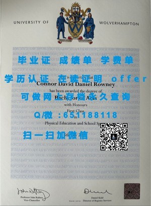 白金汉大学学术成就展示——成绩单解读