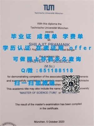丹麦奥尔堡大学官方学位证书详析