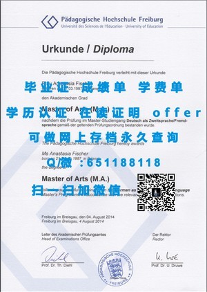 丹麦利利贝特大学国际认可文凭揭秘