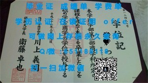 丹麦哥本哈根城市大学官方毕业证书解析