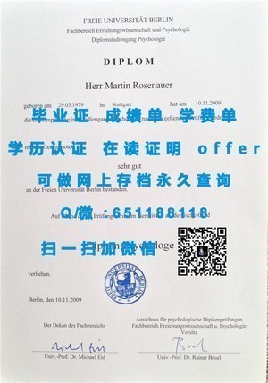 柏林应用科学大学文凭，国际化教育成就的象征