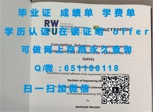 里尔第一大学文凭，开启卓越学术之旅